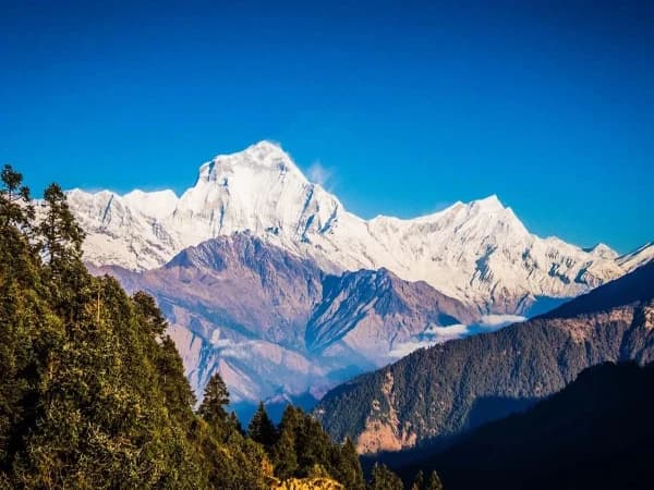 ghorepani poon hill with mardi himal trek