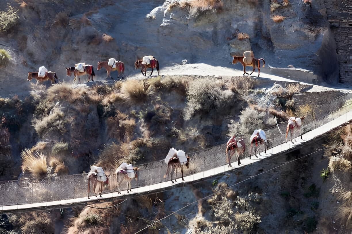 suspension-bridge-dolpo